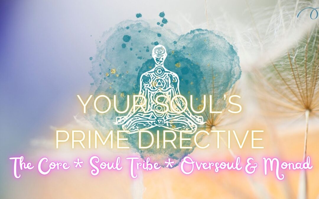 Your Soul’s Prime Directive